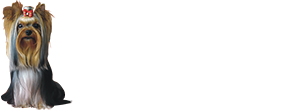 iasonyork